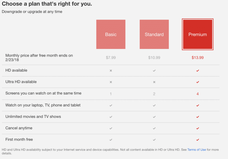 Netflix's Subscription Model