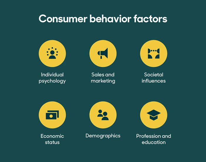 Consumer behavior factors