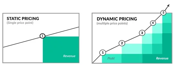 The difference between static and dynamic pricing strategies